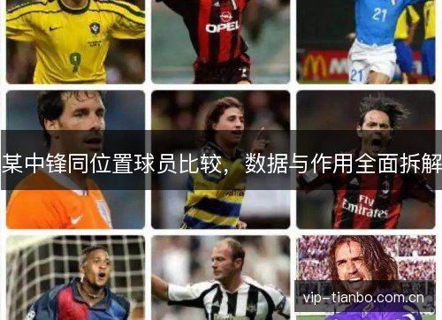某中锋同位置球员比较，数据与作用全面拆解