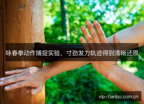 咏春拳动作捕捉实验，寸劲发力轨迹得到清晰还原